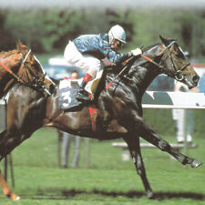 METHODE de TURF : LA GESTION