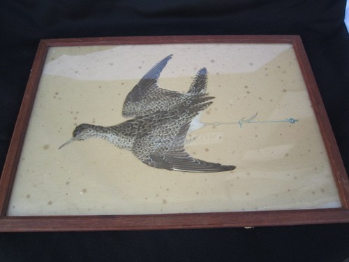 Oiseaux bécasse xixème - oiseaux,