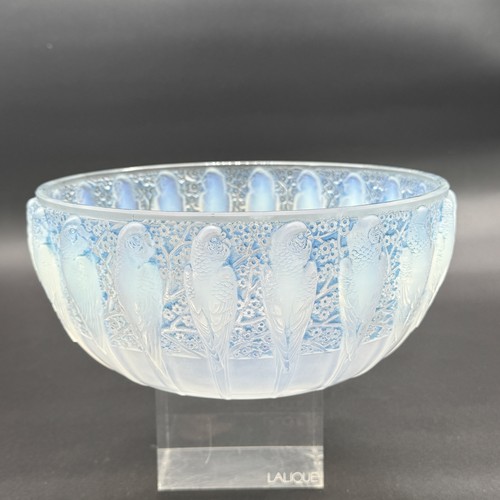 Parakeet cut r lalique - cut, r.lalique