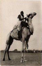 PC NIGER CHAMEAU DE SELLE