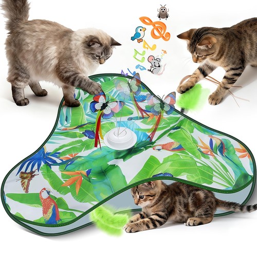 Jouet chat interieur - interieur,,