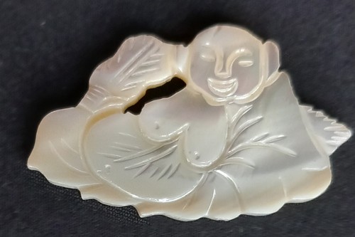 Joli plaque application - joli,