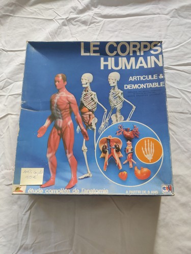 Corps humain articulé - articulé, et