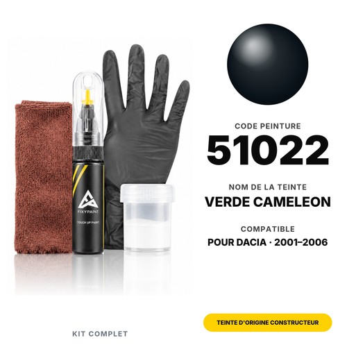 Peinture retouche pour dacia - pour,