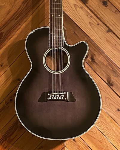 Takamine npt110 noir - takamine, npt110-12