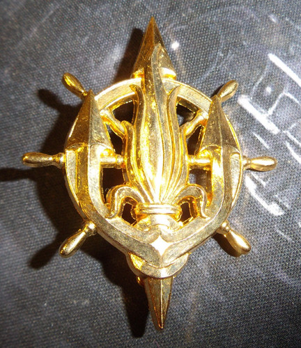 Insigne brevet nageur - insigne,
