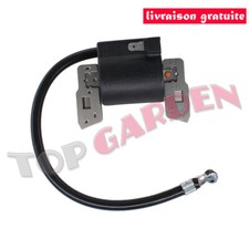 Bobine d'allumage pour Briggs