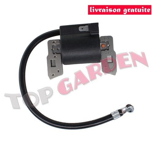 Bobine allumage pour briggs - bobine,