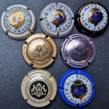 Lot lettre H - HENRIOT armoiries / 7 CAPSULE PLAQUE DE MUSELET CHAMPAGNE