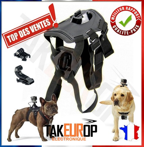 Chien caméra support gopro - chien,