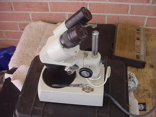 Binocular 10x microscope - binocular, w-