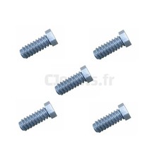 Vis grise pour établi Smoby