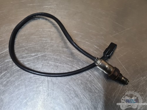 Sonde lambda triumph 900 tiger - 900,