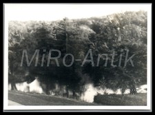 Photo, WW2, France, Cailly - la forêt disputée près du château, 1943, L266L