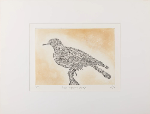 Maria paletta pigeon - paletta, :