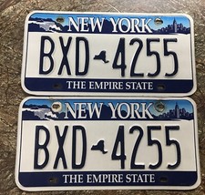 NEW YORK CITY LICENSE PLATE BLUE ON WHITE FEATURING NIAGRA FALLS