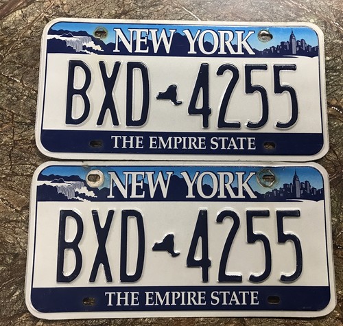 New york city license plate - city,