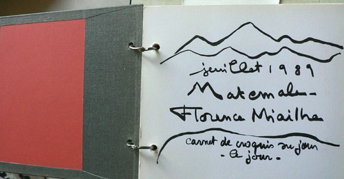 Florence miailhe cinéaste - miailhe,