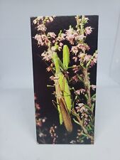 NESLE - MERVEILLES DU MONDE : CARTE " LA MANTE RELIGIEUSE #214 " VINTAGE 1980