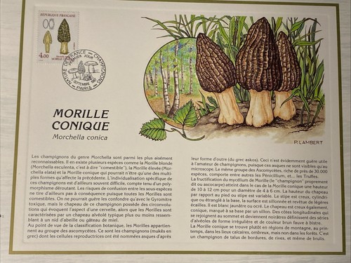 France feuillet cef 877 - france, n°