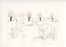 REIMS CÉCILE GRAVURE 1951
