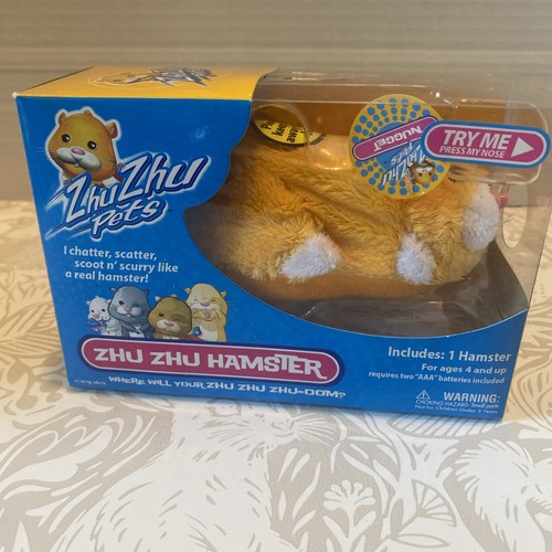 Zhu pets hamster - zhu,