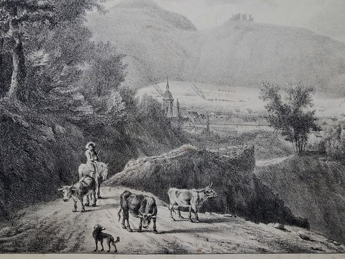 Die vosges vue de - , st