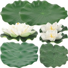 Plantes aquatiques - plantes,