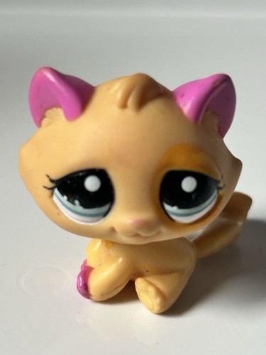 Petshop chat gouttière - 🌼petshop,