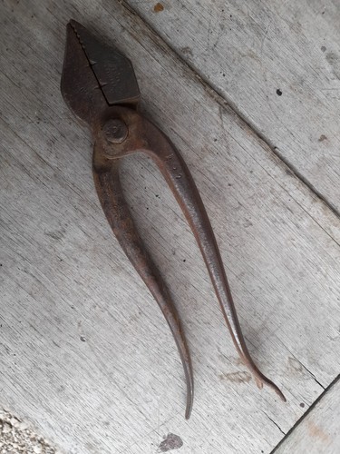 Pince cordonnier outil ancien - outil,