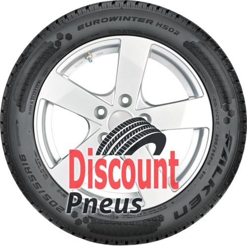 Falken eurowinter hs02 205 - falken,