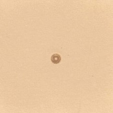 Matoir sur manche TANDY