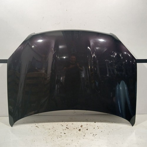 Capot f5100jd0mb nissan - capot,