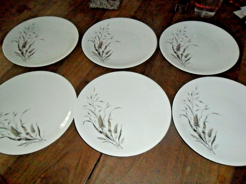 Assiettes dessert - 6,