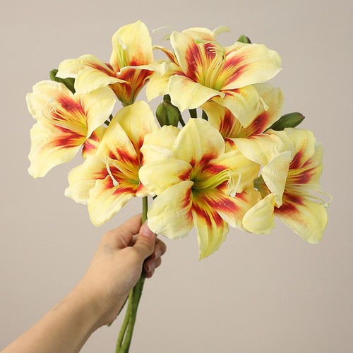 Orchidée clivia artificielle - orchidée,