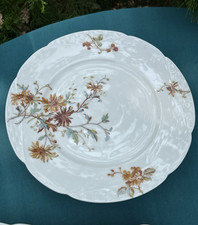 Ancienne coupe sur pied