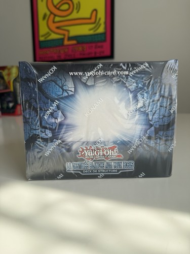 Tcg display deck de - yu-gi-oh!,
