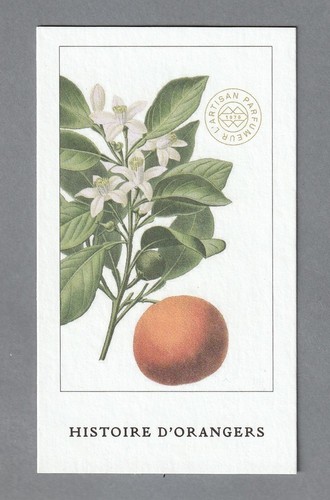 Carte publicitaire - carte,