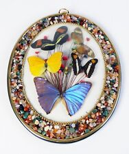 🦋 Cadre Ovale Papillons