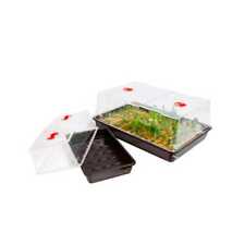 Garland Serre de Germination