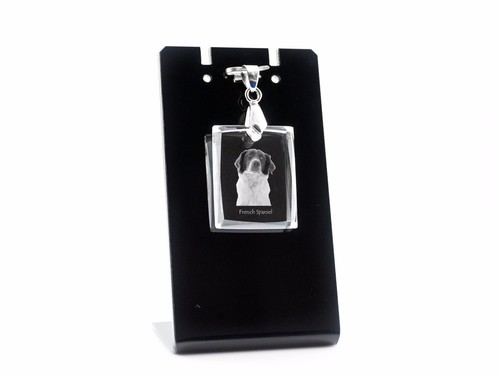 Collier pour chien epagneul - chien,