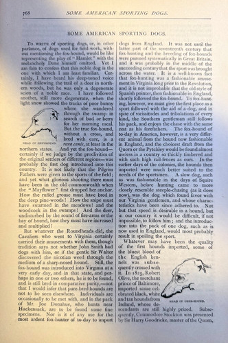 1877 american sporting - 1877,