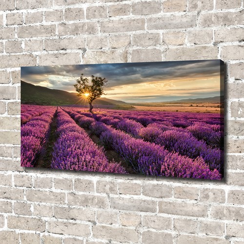 Tulup image sur toile - sur, tableau