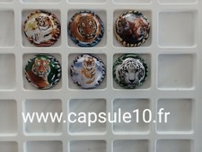    NEWS CAPSULES DE CHAMPAGNE