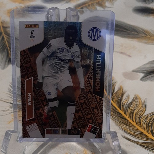 Panini adrenalyn ligue - adrenalyn,