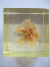 INCLUSION EN RESINE : FLEUR