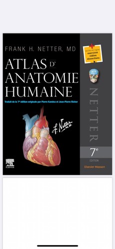 Atlas anatomie netter pour - atlas,