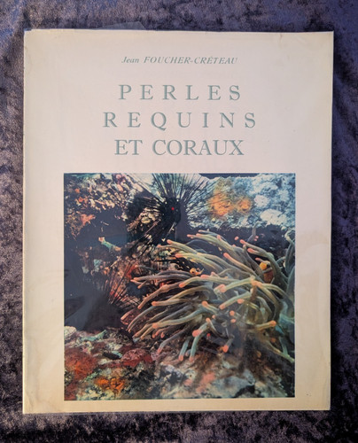 Perles requins coraux - requins,