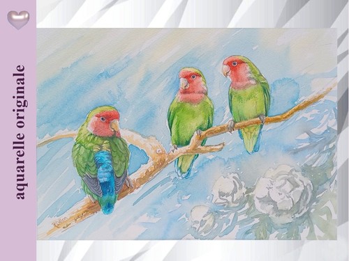 Les inséparables aquarelle - inséparables,