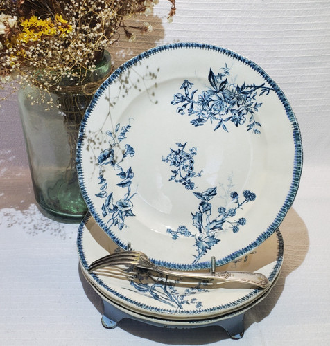 Lot assiettes plates du - plates,